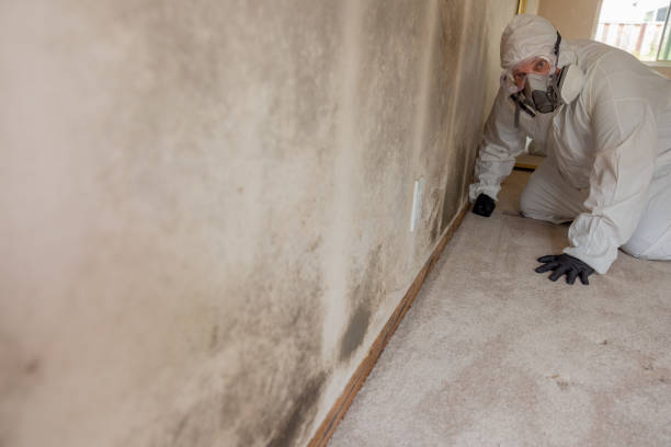 Best Real Estate Mold Inspection  in St James, NC